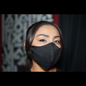 Face masks with replaceable filter